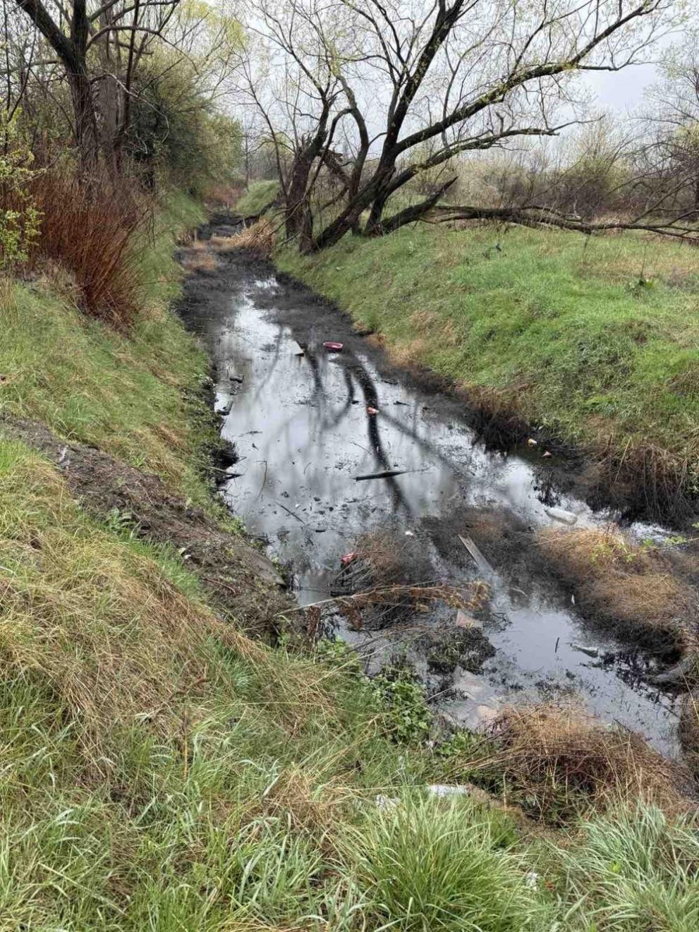  река Беравица замърсяване 