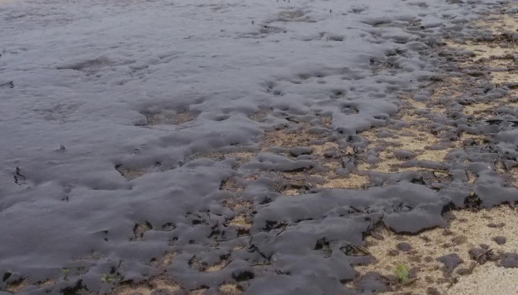 варна замърсяване - Варна обяви частично бедствено положение!