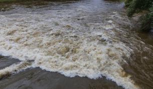 Снимката е илюстративна