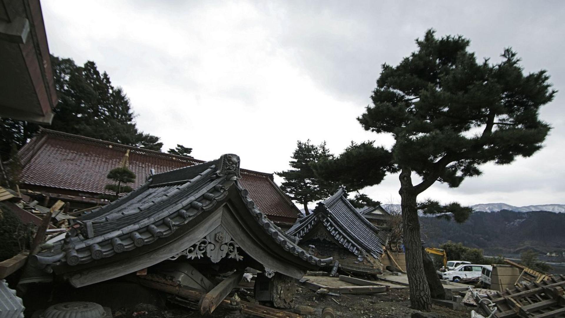 Според нова правителствена оценка мегаземетресение и последвалото го цунами могат да