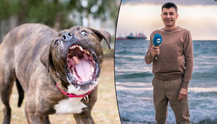 Жоро Игнатов - КАТО ПИТБУЛ: Разярена училищна директорка наръфа Жоро Игнатов! (ВИДЕО)