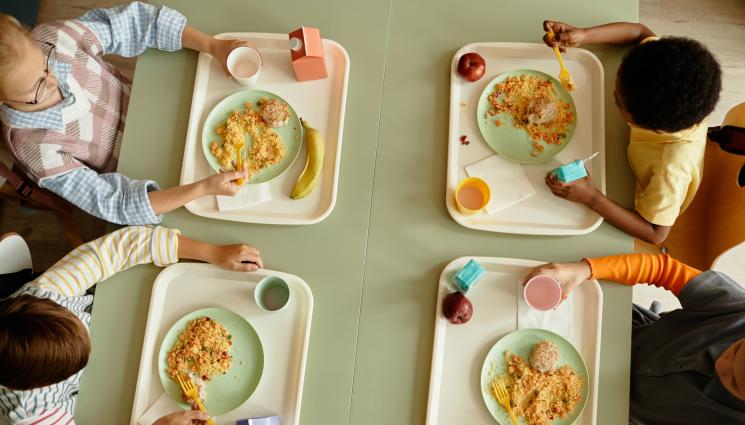 деца ядат - ОТРОВНА ВЕЧЕРЯ: Зелено училище се превърна в кошмар!