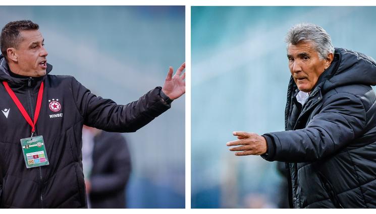 Александър Томаш Ратко Достанич - Треньорите в дебрите на 