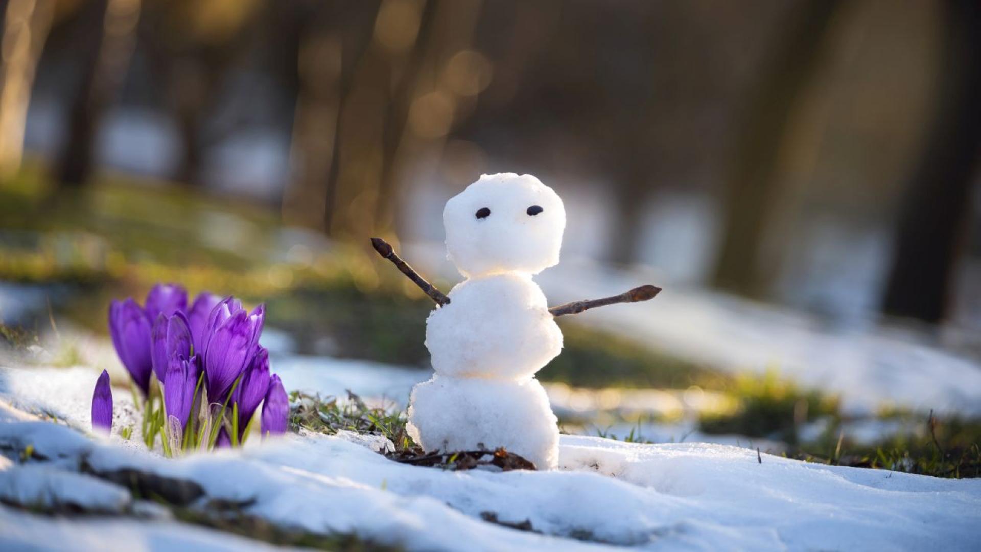 През следващото денонощие облачността над страната ще се задържи значителна