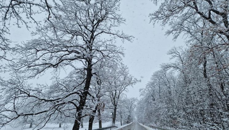 Шофьорит - ЗИМАТА СЕ ЗАВЪРНА: Закъсали коли на „Петрохан”