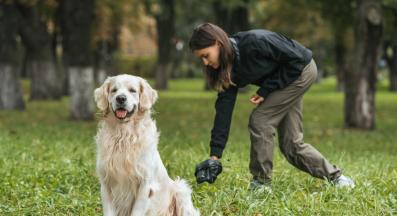 куче изпражнения