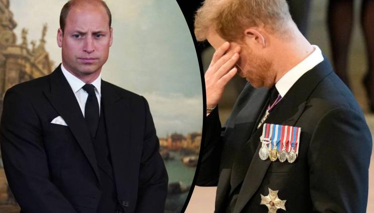 Уилям и Хари - НЯМА КЪДЕ ДА ИЗБЯГАТ: Уилям и Хари принудени да се срещнат!