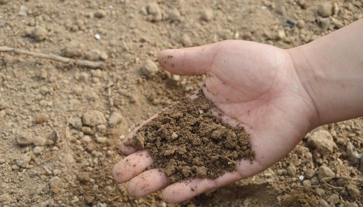 Мана - Агро Тебеграф: Системна мана заплашва посевите