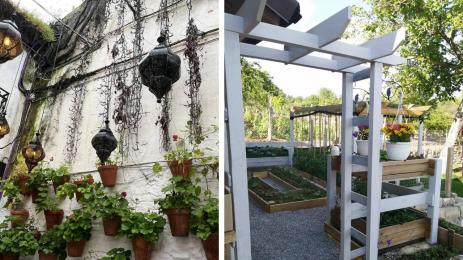 вертикална градина