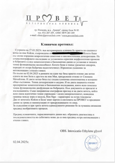 документ котки натровени