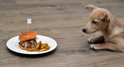 куче картофи