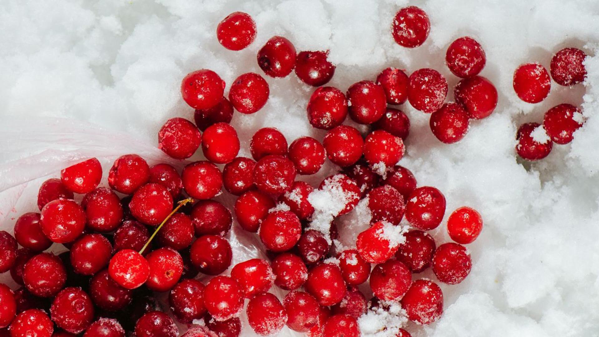 Необичайният априлски студ удари като ледена вълна българското земеделие Снеговалежите