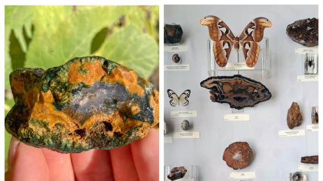 Орфеев ахат