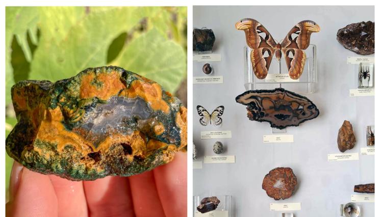 Орфеев ахат - Орфеев ахат показват в София в музея „Земята и хората“