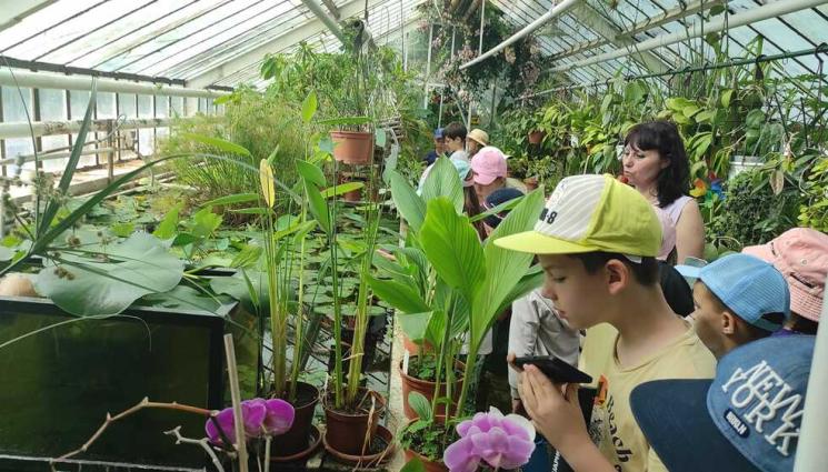 нт - СЕДМИЦА НА ГОРАТА: Организират