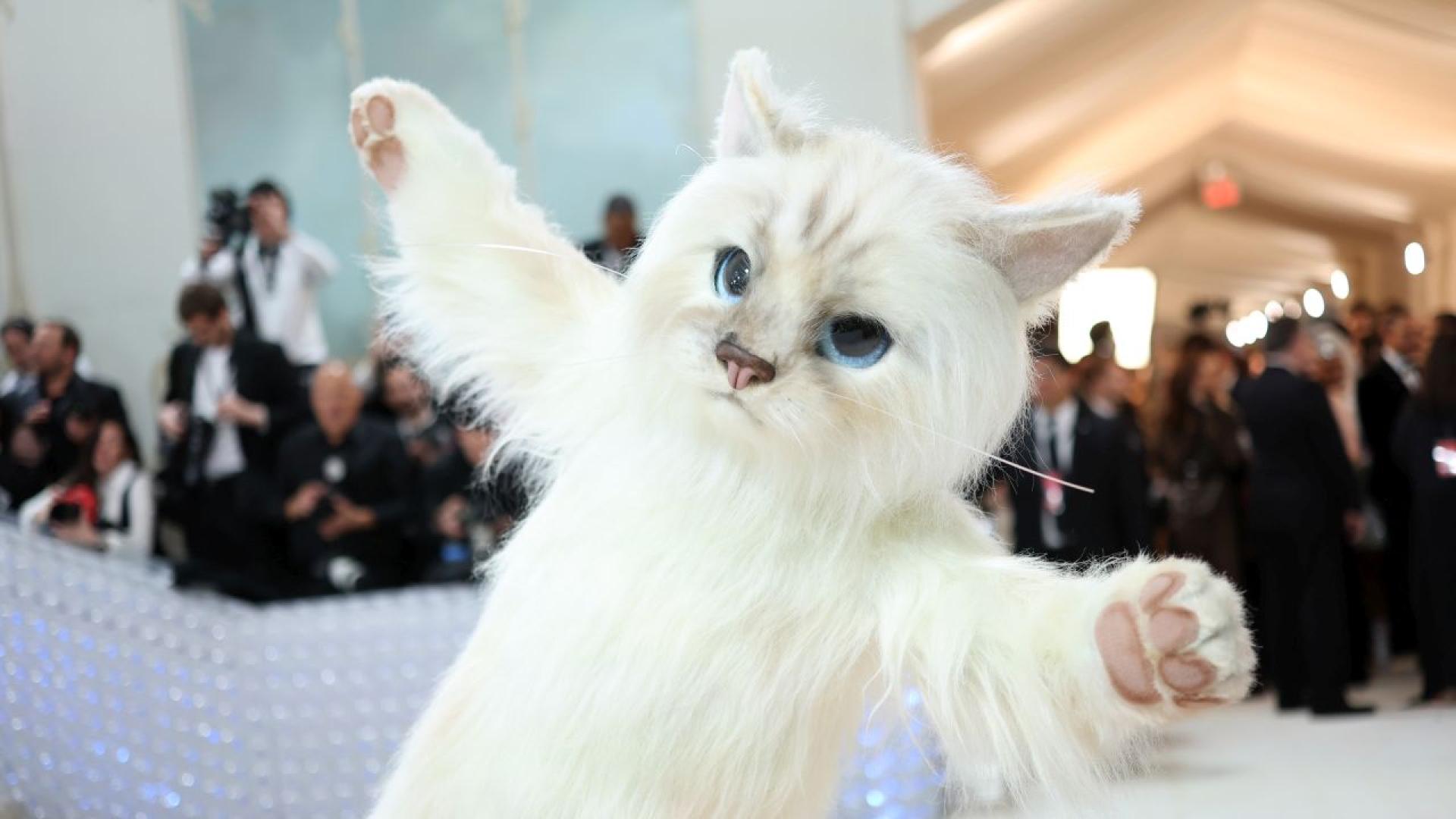 Дори след като светът изгуби един от най влиятелните модни дизайнери