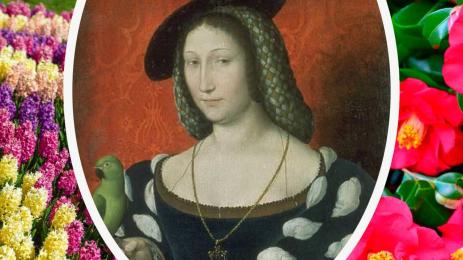 Маргарита Наварск