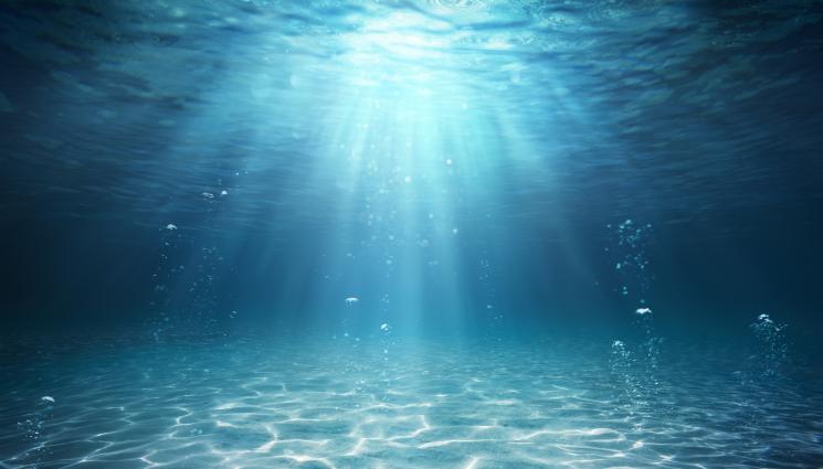 море - ТАЙНИТЕ НА ДЪЛБИНИТЕ: Учен засне чудовищно създание! (ВИДЕО)