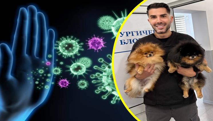 ВИРУСИ - КАК СЕ ПРЕДАВАТ зоонозните заболявания?
