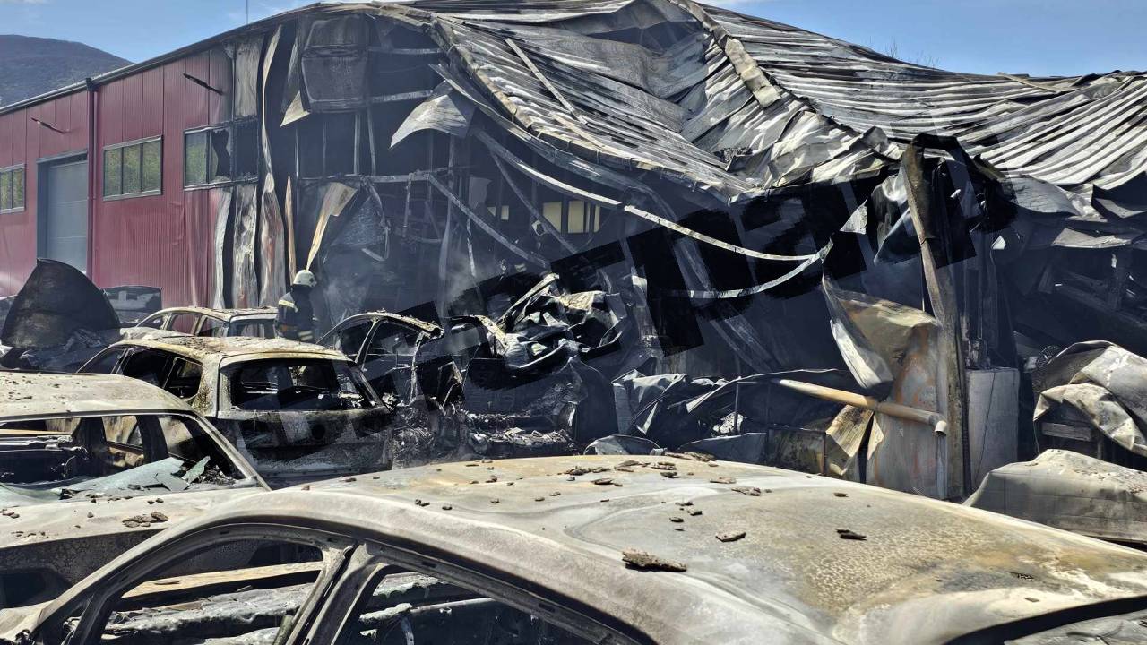 пожар Лозен