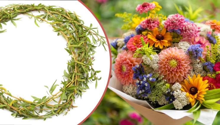 Цветница - Цветница е! Празнуват над 340 хиляди българи с имена на цветя