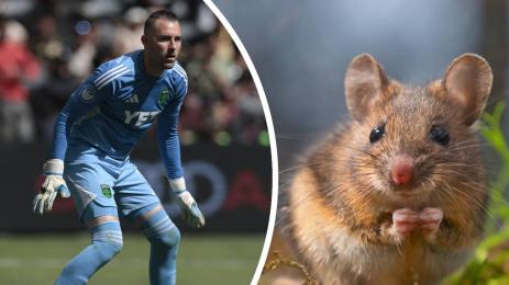 Брад Стувер