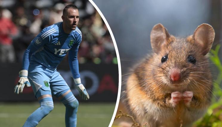 Брад Стувер - Вратар пусна 5 гола, но хвана мишка