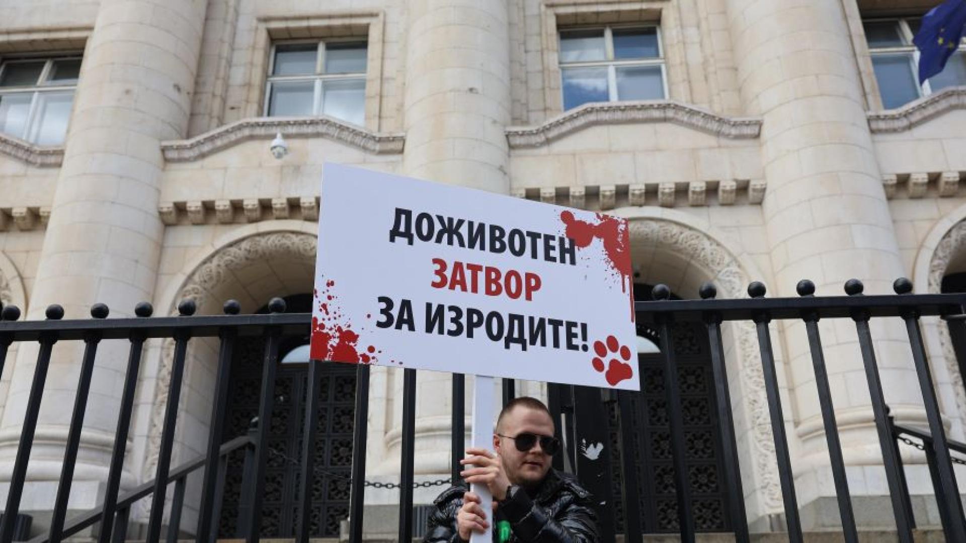 Нов протест срещу насилието над животните ще се проведе пред