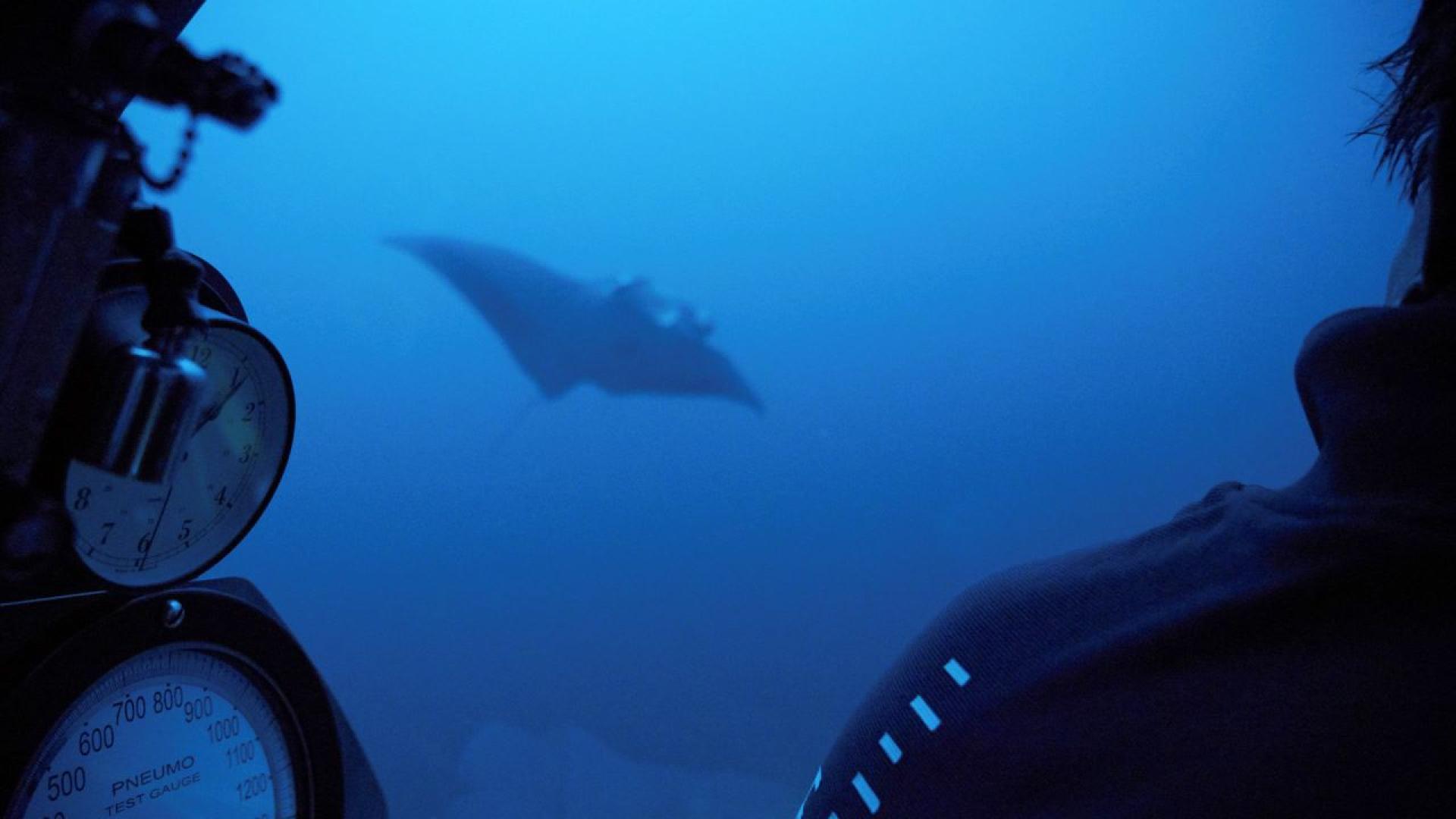 Китайски учени изобретиха робот за дълбоководни проучвания вдъхновен от структурата