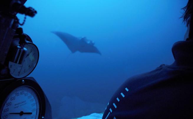 Китай пуска в действие подводен робот, вдъхновен от манта