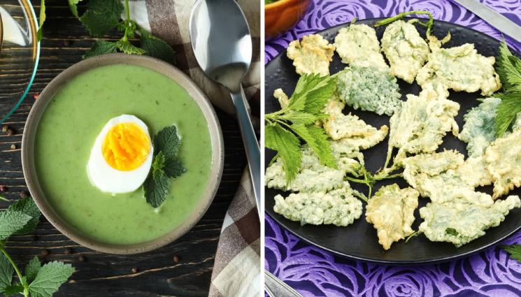 рецепти - КОПРИВА ЗА СИЛА: Апетитна крем супа, бърза с яйца на очи или пък панирана