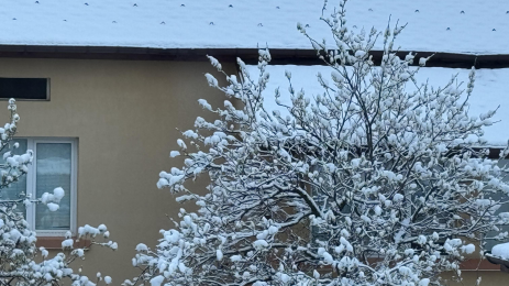 студ сняг овошки