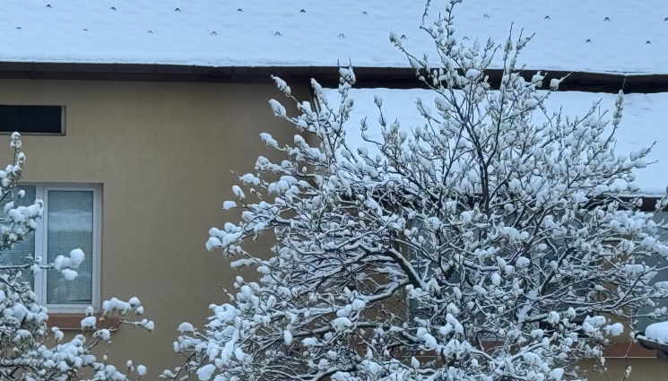 студ сняг овошки - Агро Телеграф: Обрат във времето, подобриха се влагозапасите в почвата