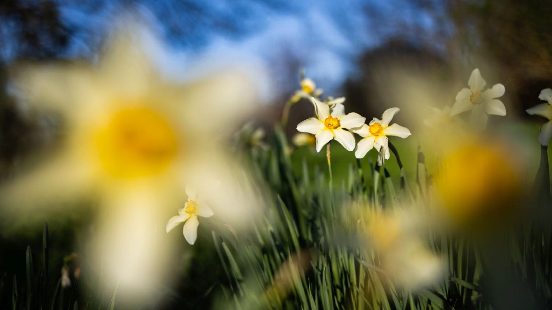 Днес над страната ще преобладава облачно време и на места