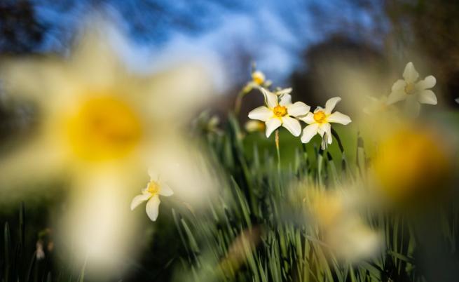 Пролет, смяна на часа и парад на планети: Какво ни очаква в небето до края на март и през май