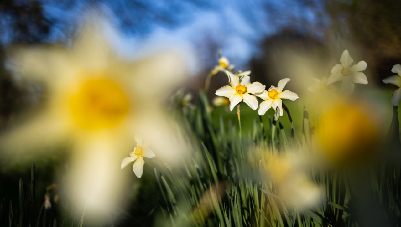 Пролет, смяна на часа и парад на планети: Какво ни очаква в небето до края на март и през май