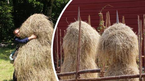 купи сено сълза