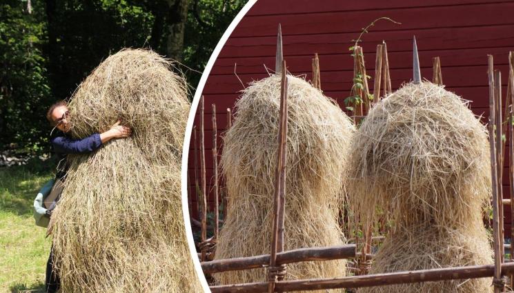 купи сено сълза - Агро Телеграф: Изчезват купите сено с форма на сълза