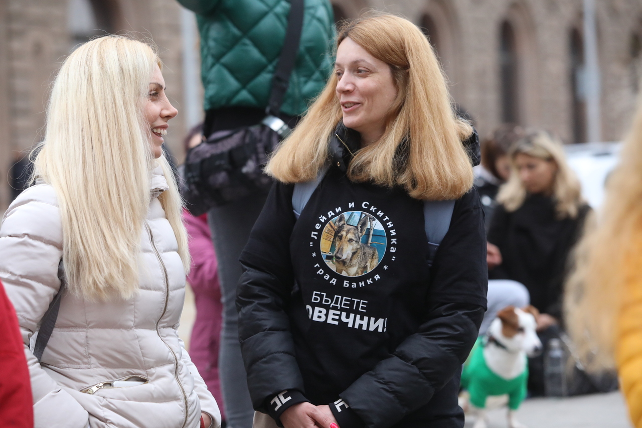 <p>Протест срещу насилието над животни събра десетки души пред сградата на Народното събрание.</p>