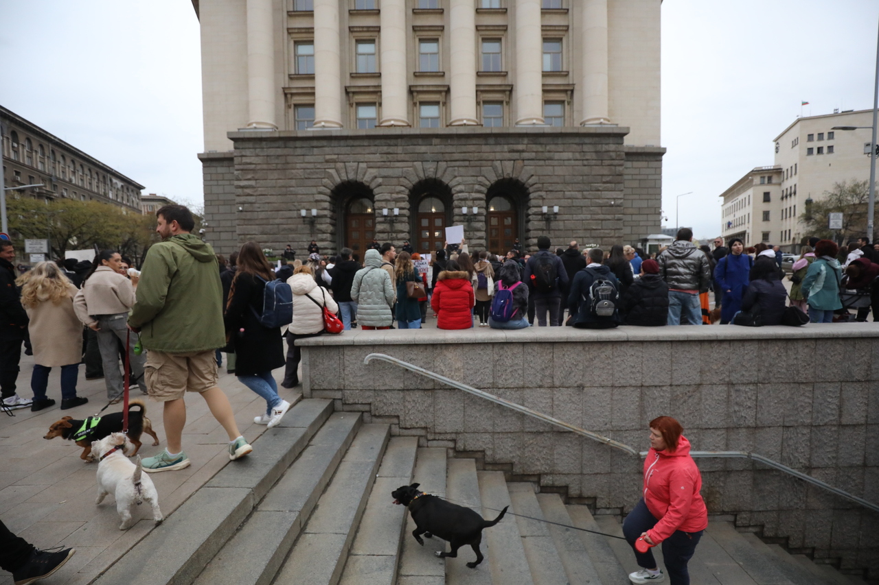 <p>Протест срещу насилието над животни събра десетки души пред сградата на Народното събрание.</p>