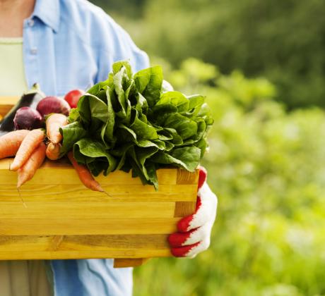 Когато мислим за суперхрани обикновено на ум ни идват екзотични