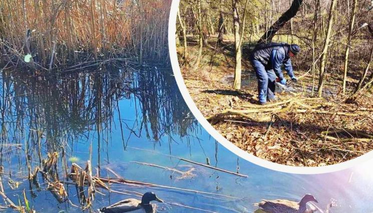 южен парк - РАДОСТ ЗА СТОЛИЧАНИ: Възстановяват езерата в Южния парк