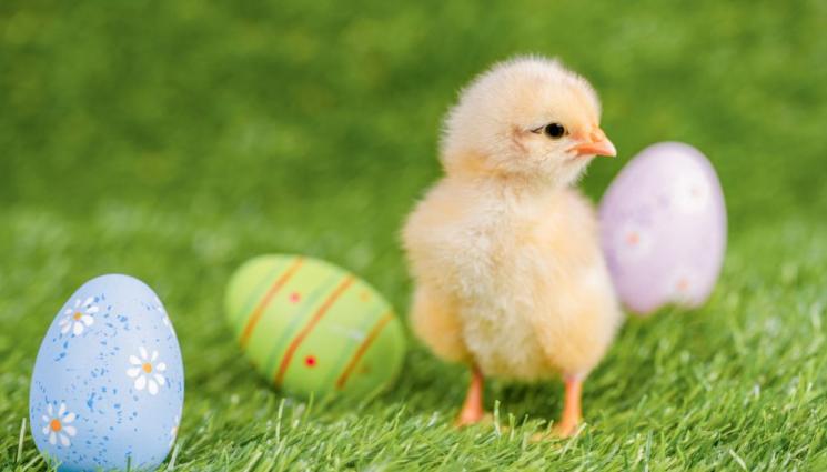 Великден - Велика сряда е!