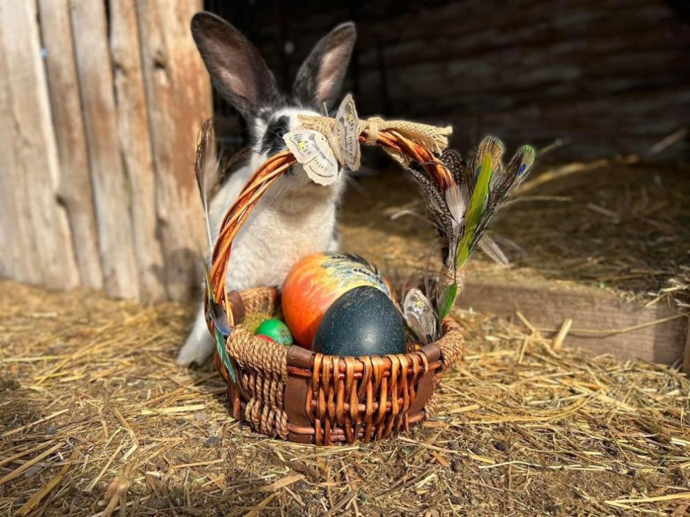 За Великденските празници в зоопарка в Бургас ще има специална