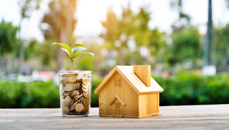 къща пари - ТОП 10: Женско щастие и булчински воал –  кои цветя ни носят любов и пари?!