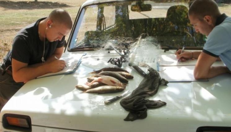 риба - И ЛОВЕЦ СЪМ, И РИБАР СЪМ: Гората с пожарите, дивечът с примките - да избиеш рибата с колове!