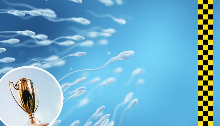 сперма - ЛУДА НАДПРЕВАРА: Сперматозоид ракета грабна купата в първия по рода си маратон! (ВИДЕО)