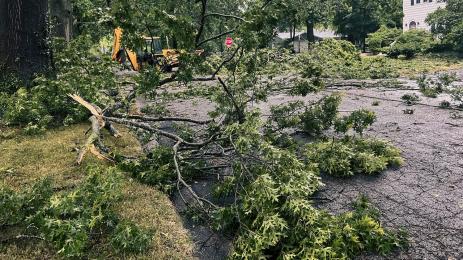 паднал клон