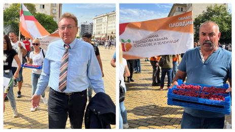 плодове експерт