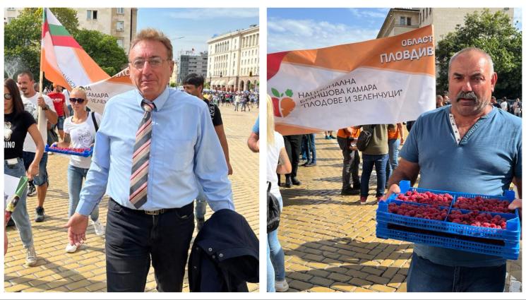 плодове експерт - Експерт по растителна защита Божидар Петков пред 